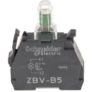 ZBVB5