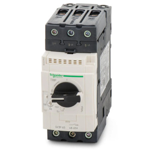 GV3P65